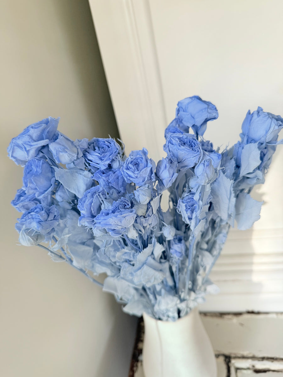 　[Colourful] Outlet & Samples