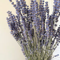 Naturally Dried Lavender bunch - blue purple