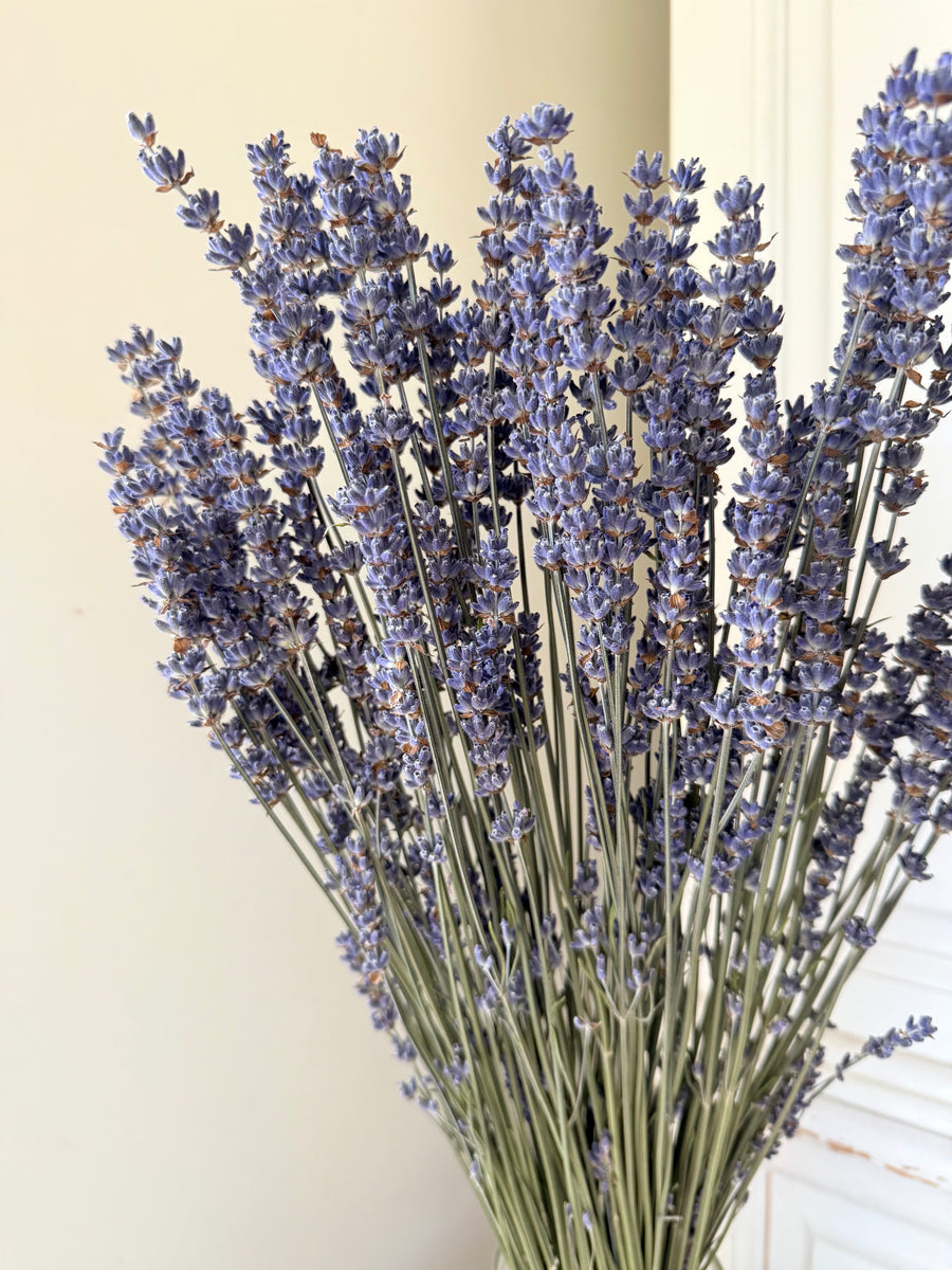 Naturally Dried Lavender bunch - blue purple