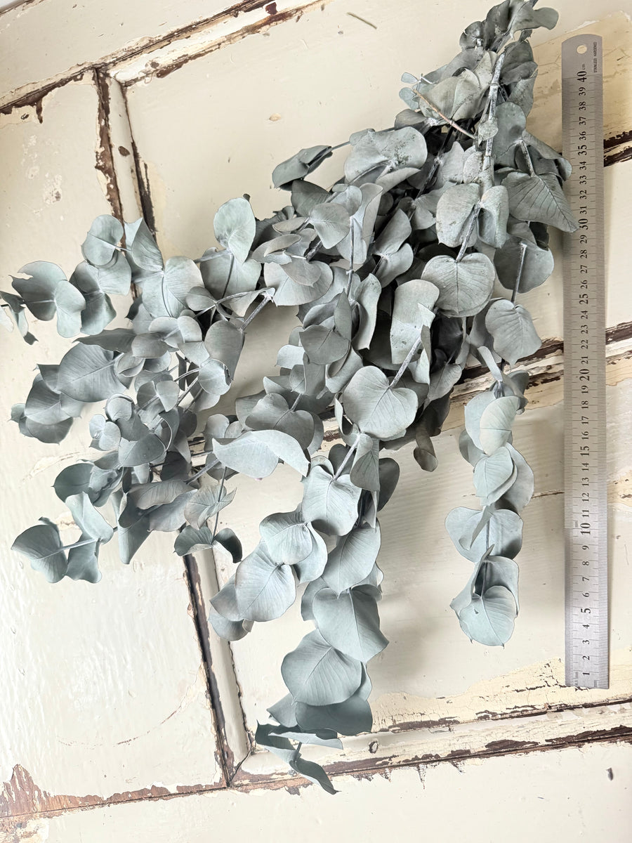 Preserved Eucalyptus – Dry-Touch 3D Finish