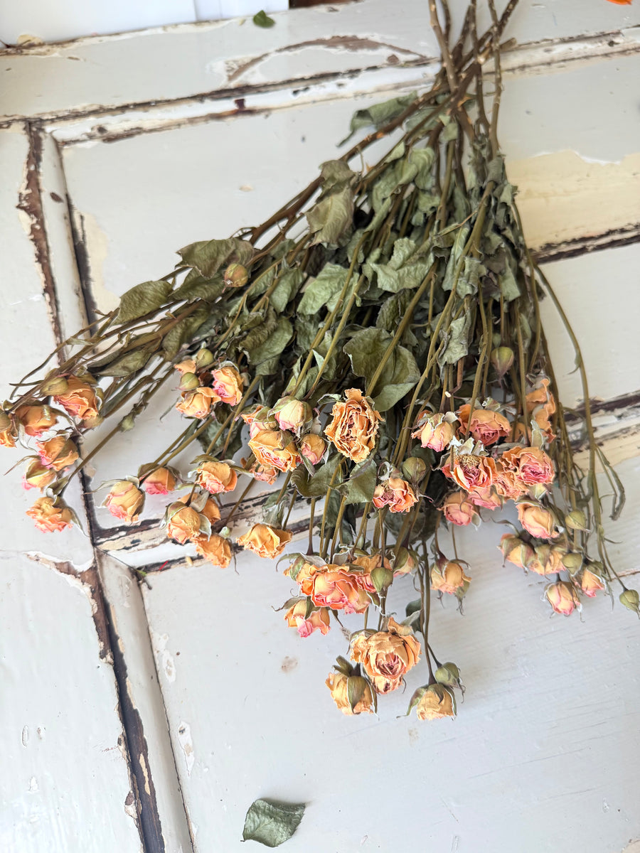 Naturally Dried Spray Rose
