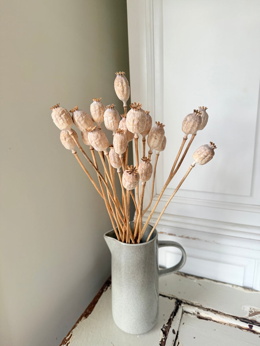 Naturally Dried Poppy Pods* / Papaver - natural brown