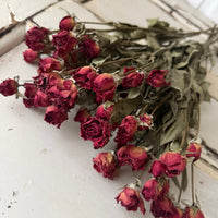 Dried Spray Mini Rose
