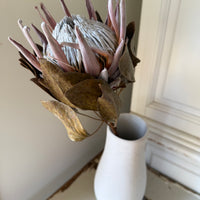 Naturally Dried Banksia & King Protea & Protea - Australian Native