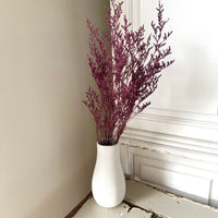 Soft / Vivid Hue Preserved Limonium | Misty | Sea Lavender