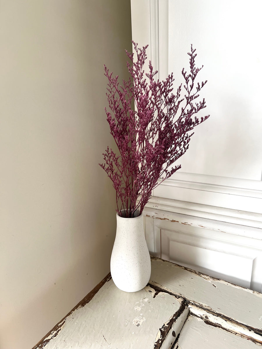 Soft / Vivid Hue Preserved Limonium | Misty | Sea Lavender