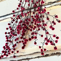 Dried Strillingia with pods