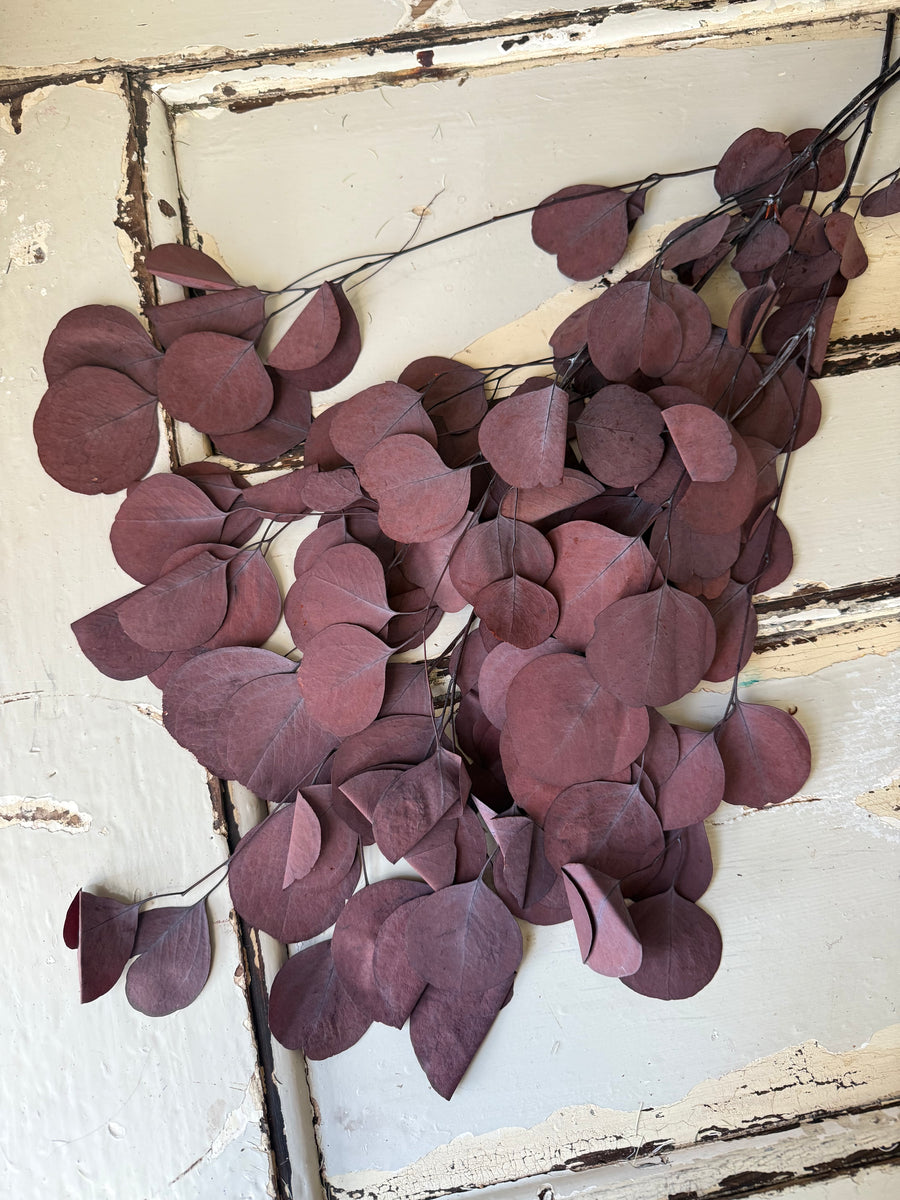 直销店 & 样品 [花茎 / 绿叶]