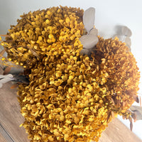 Burnished Gold Hydrangea Vase Arrangement [Large] Brown