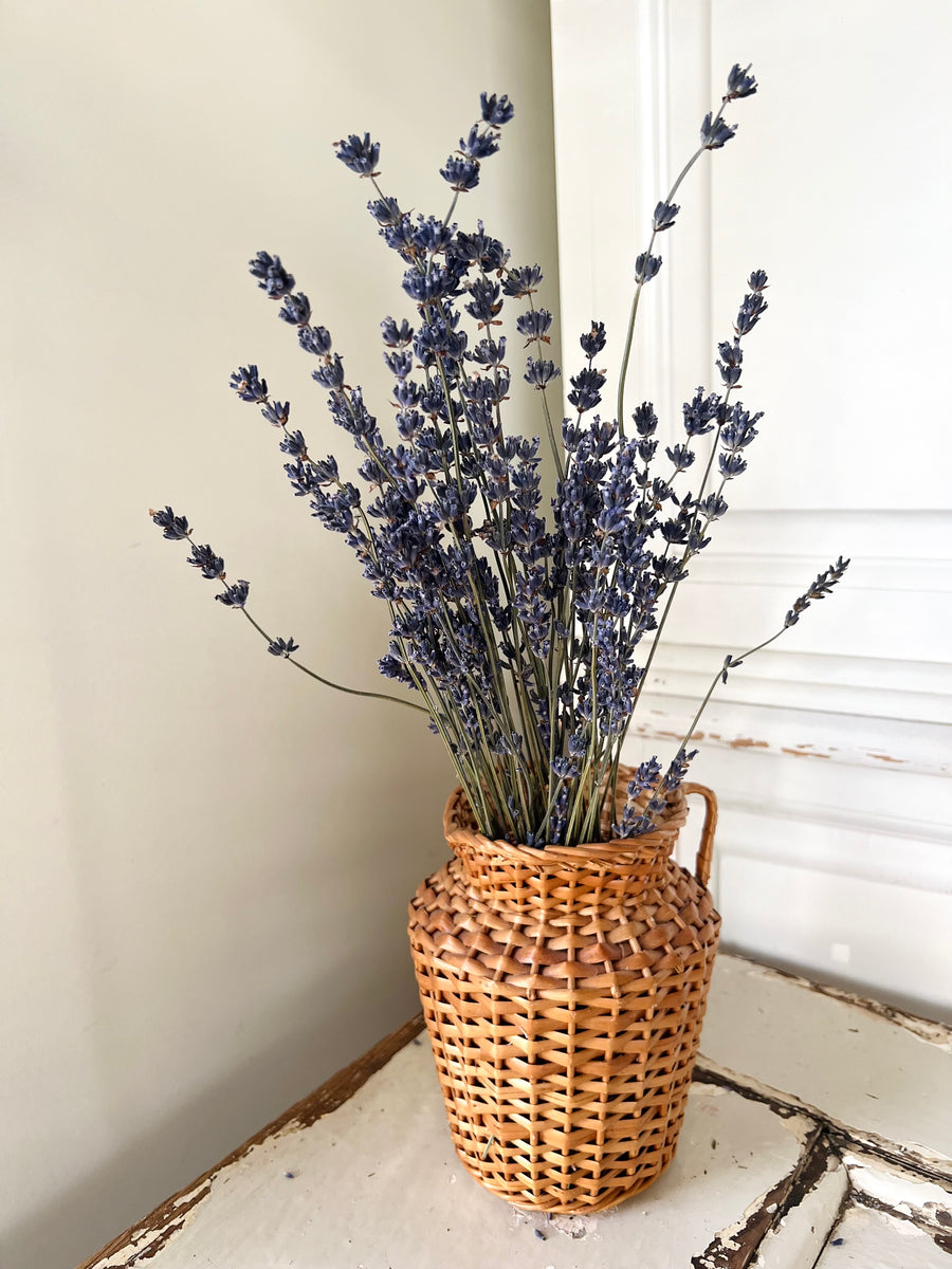 Dried Lavender bunch