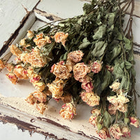 Dried Spray Mini Rose