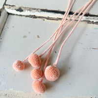 Preserved Billy Button - Colourful