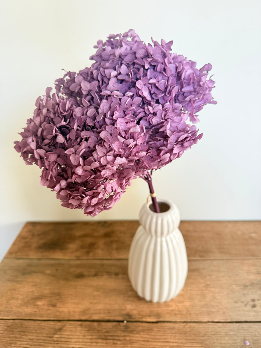 Preserved Hydrangea Stem