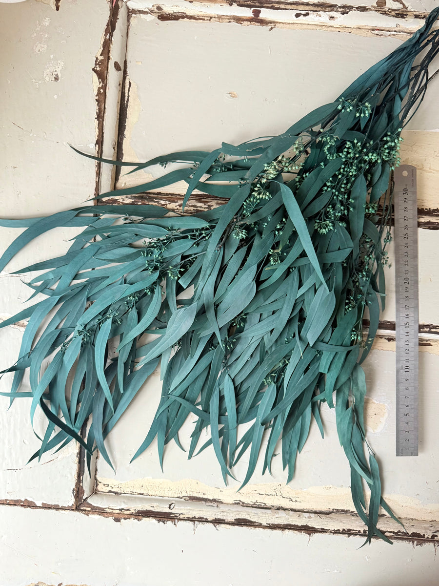 Preserved Eucalyptus / Gum