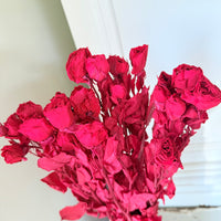 　[Colourful] Outlet & Samples