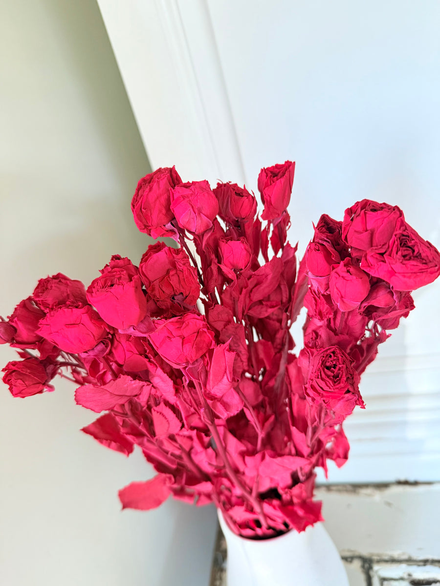 　[Colourful] Outlet & Samples