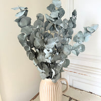 Preserved Eucalyptus – Dry-Touch 3D Finish