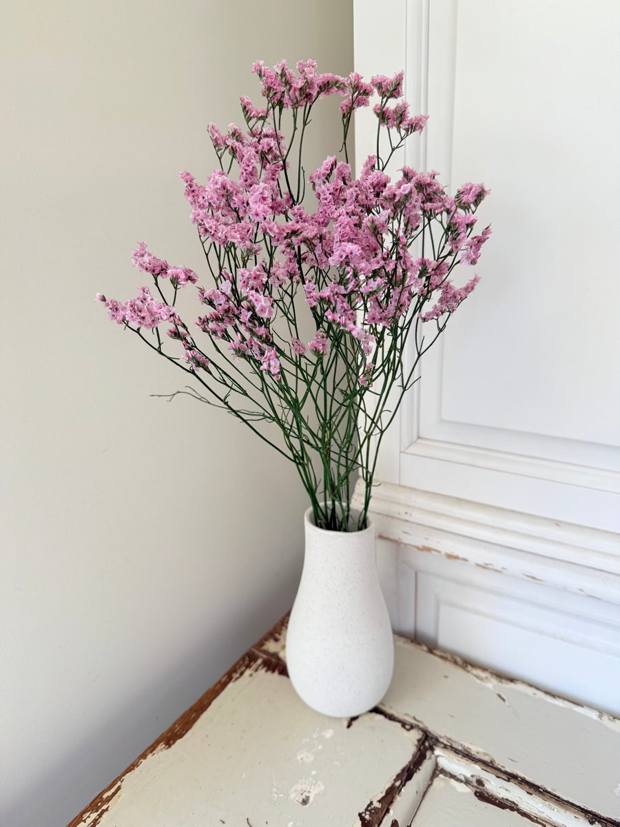 Preserved Crystal Grass / Caspea