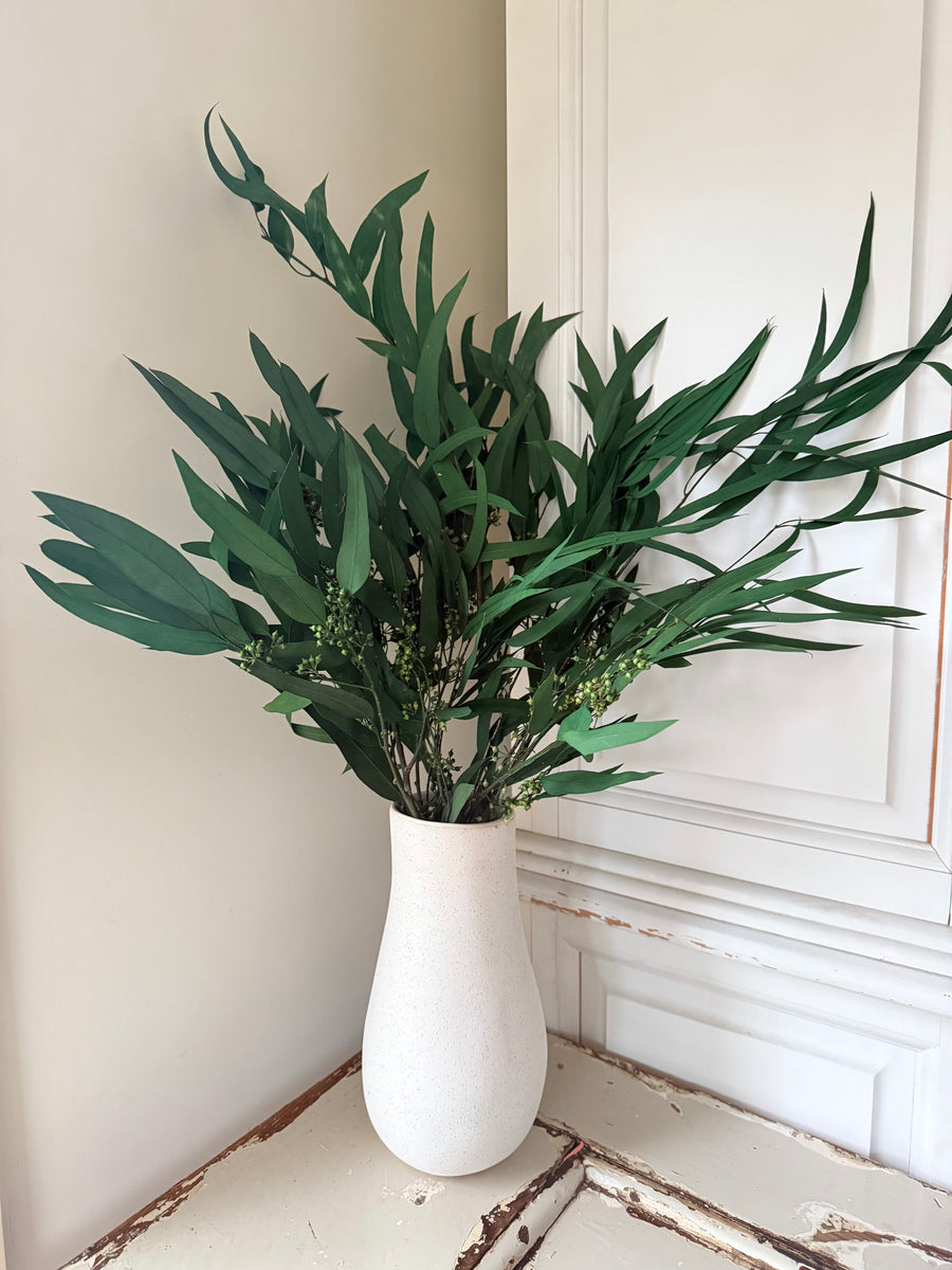 Preserved Eucalyptus / Gum