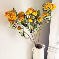 Dried Spray Mini Rose