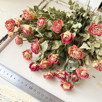 Dried Spray Mini Rose