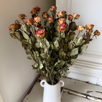 Dried Spray Mini Rose