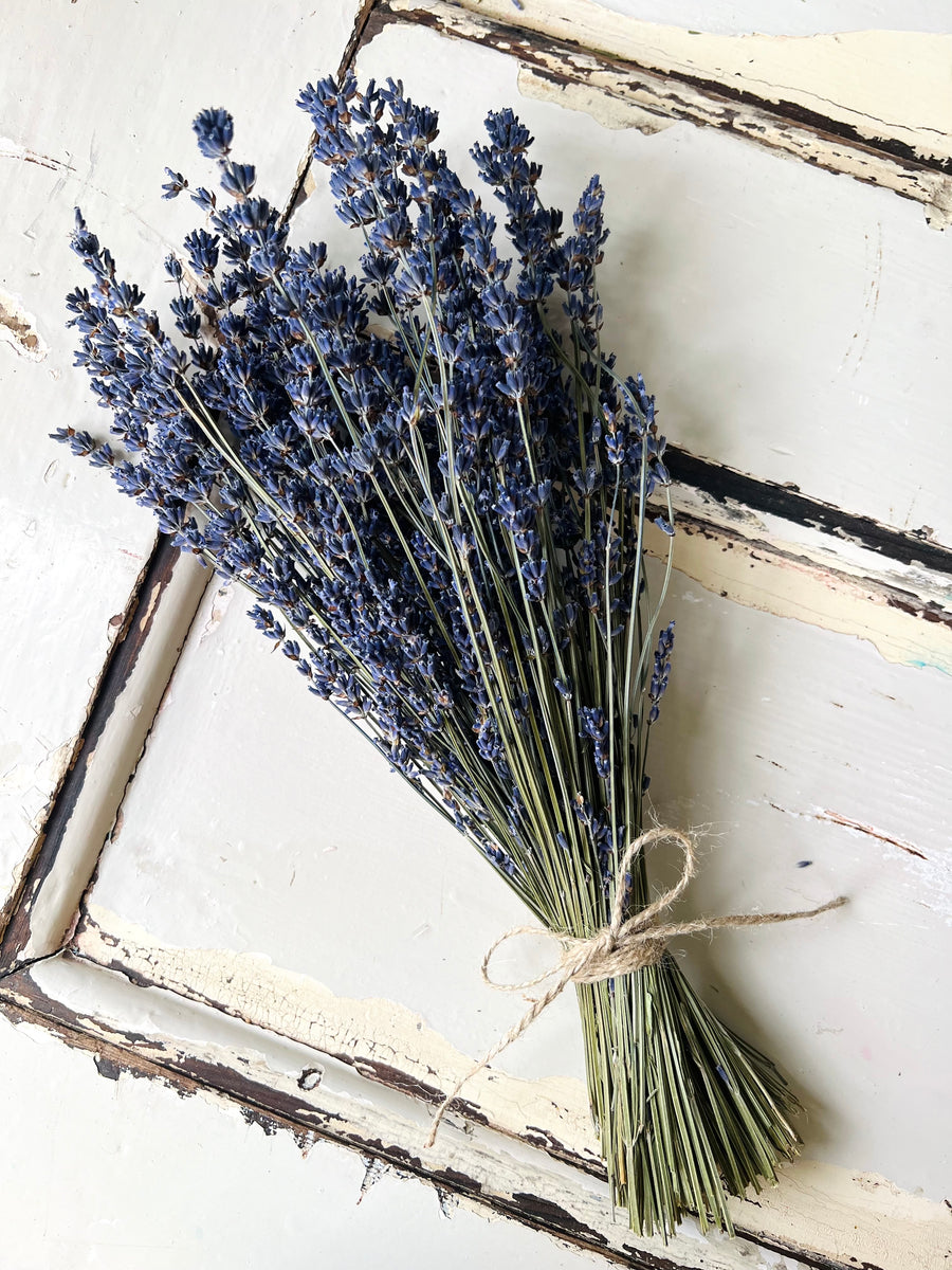 Lavender Garden Bouquet [Mini/Small] preserved dried flowers