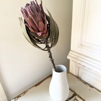 Naturally Dried Banksia & King Protea & Protea - Australian Native