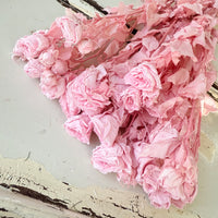 　[Colourful] Outlet & Samples