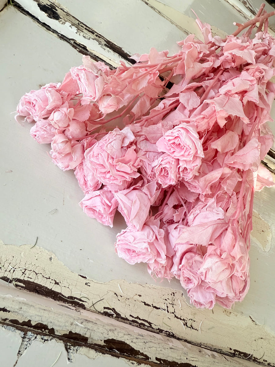 　[Colourful] Outlet & Samples