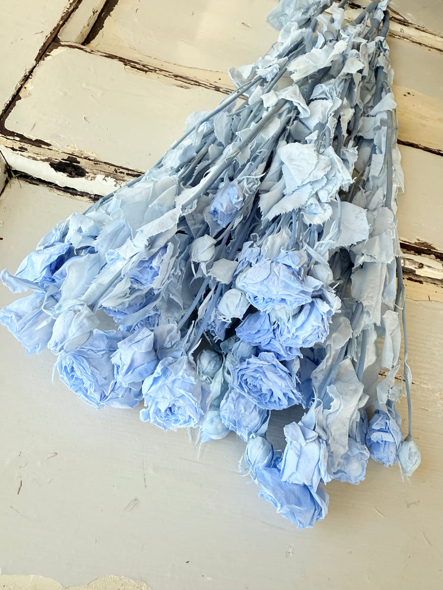 　[Colourful] Outlet & Samples