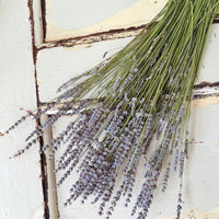 Naturally Dried Lavender bunch - blue purple