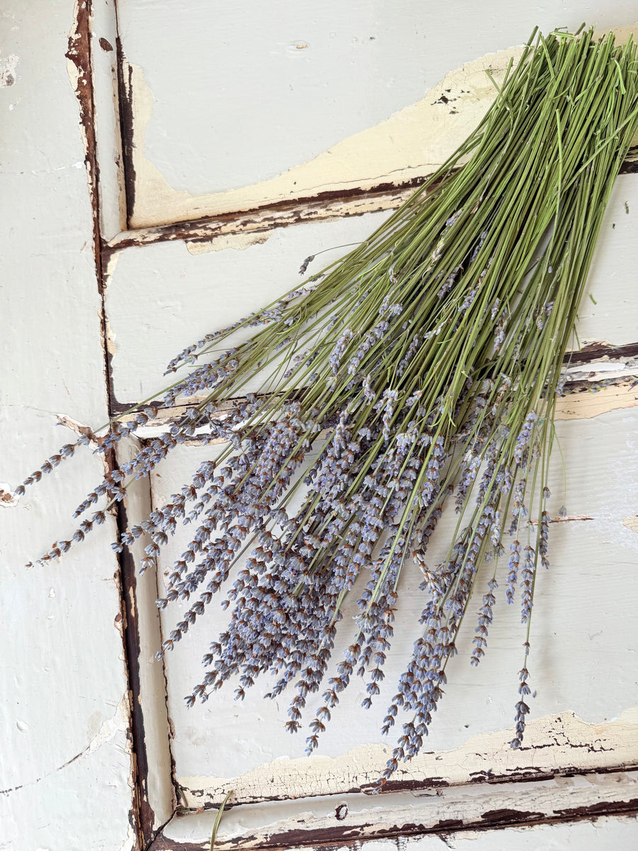 Naturally Dried Lavender bunch - blue purple