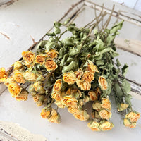 Dried Spray Mini Rose