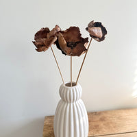 [Deep & Natural Colours] Outlet & Samples