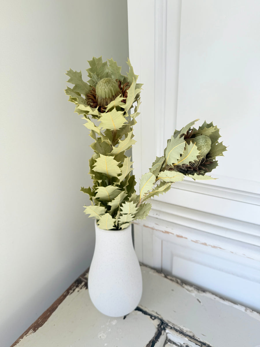 Naturally Dried Banksia & King Protea & Protea - Australian Native