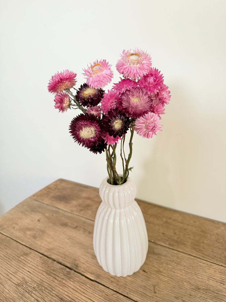 Naturally Dried Helichrysum - Everlasting / Paper Daisy / Strawflower - stems / heads