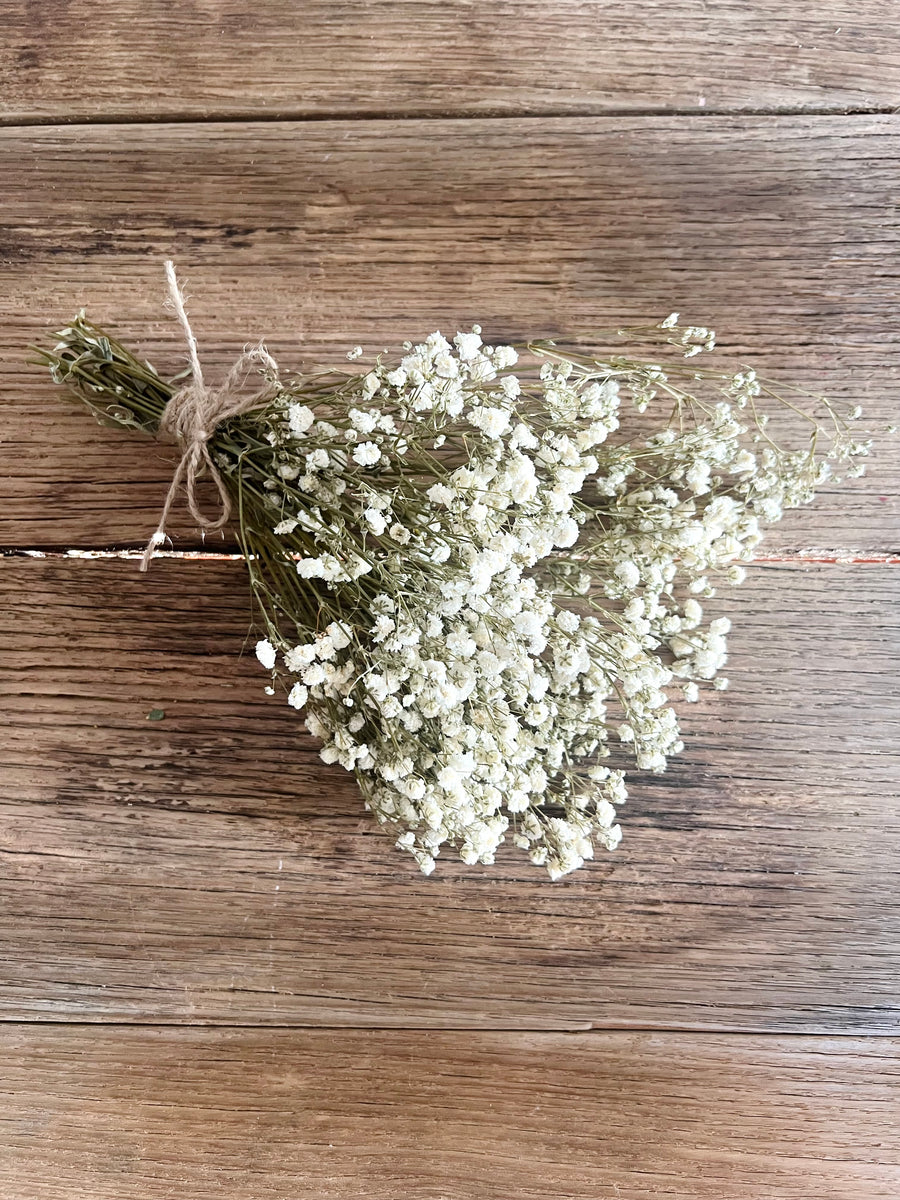 Everlasting Preserved Baby's Breath Bouquet [Mini/SM/ML]