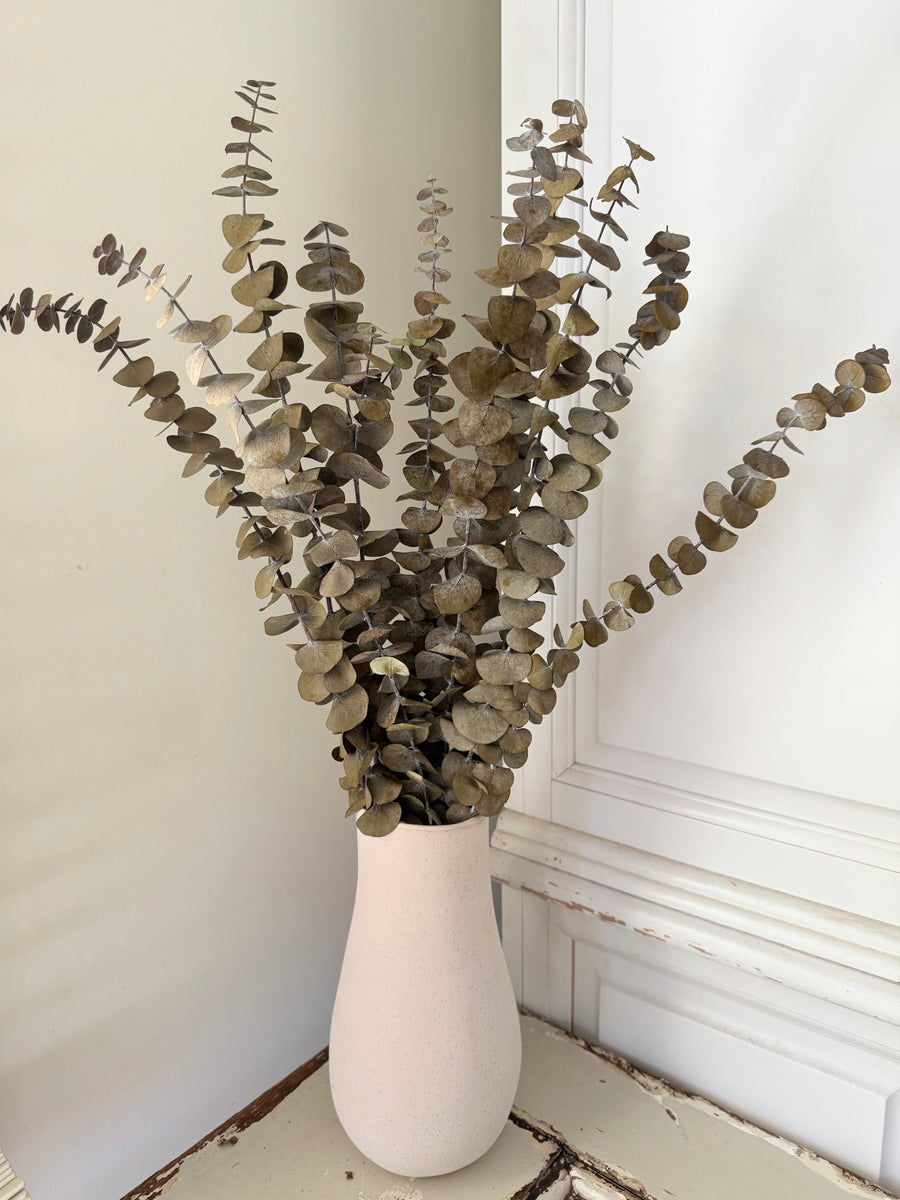 Preserved Eucalyptus / Gum