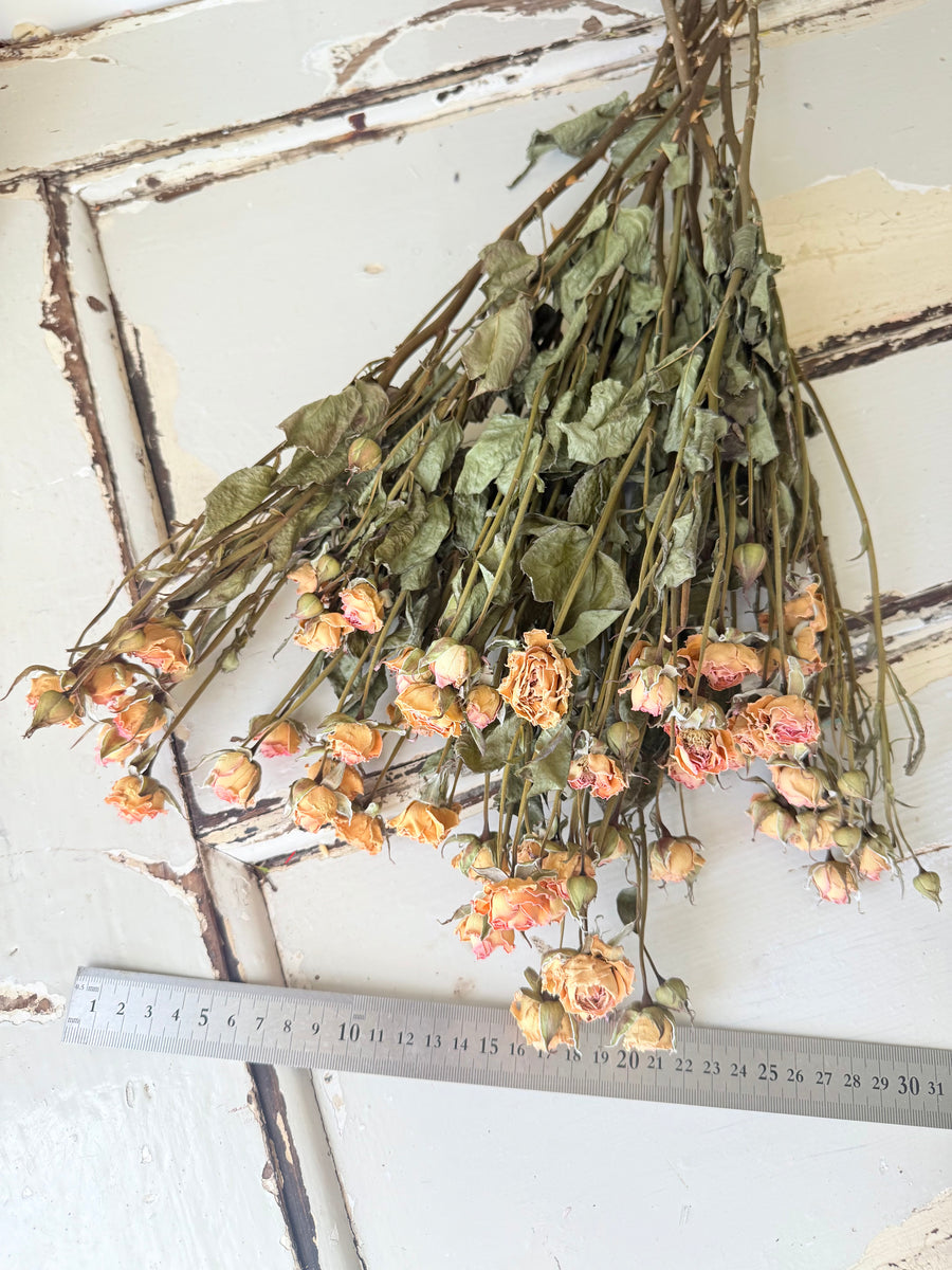 Naturally Dried Spray Rose
