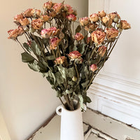 Dried Spray Mini Rose