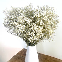 Everlasting Preserved Baby's Breath Bouquet [Mini/SM/ML]