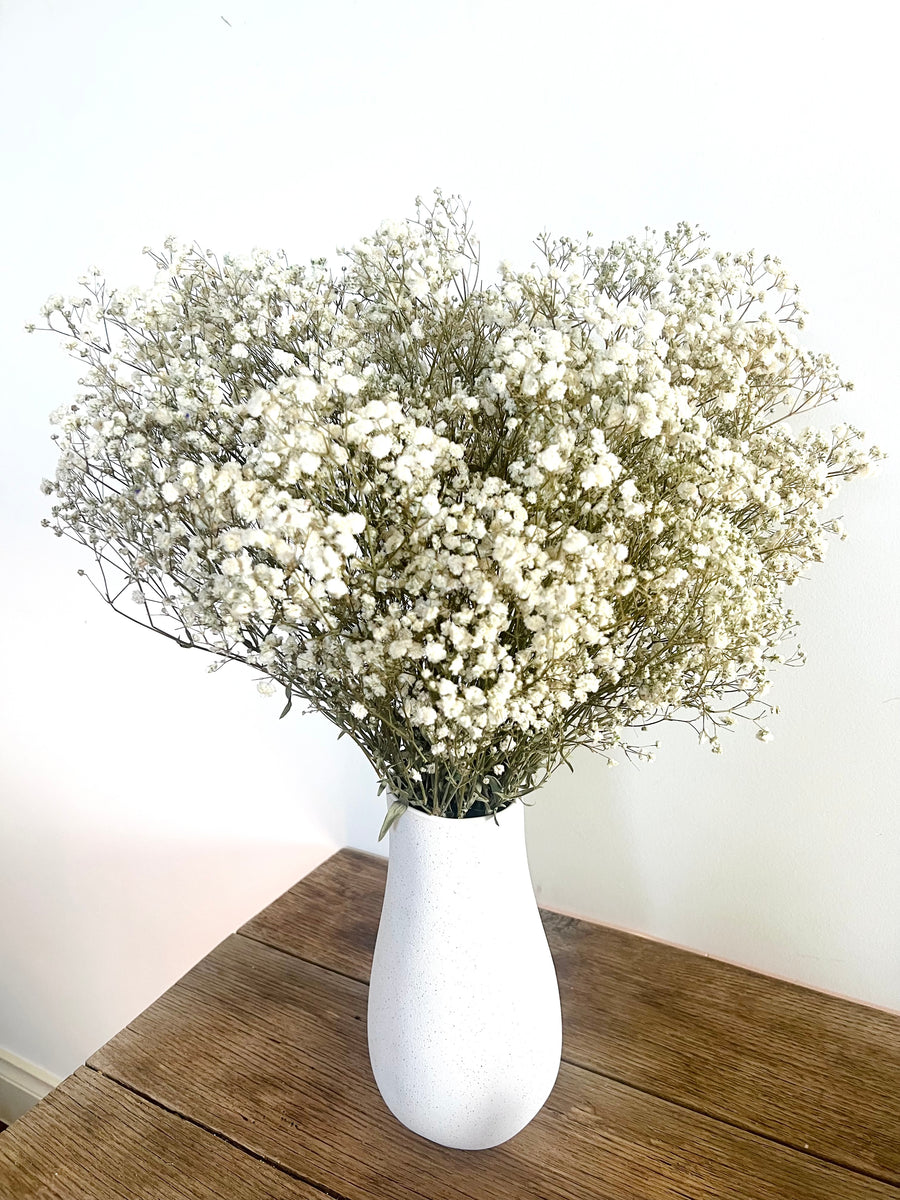 Everlasting Preserved Baby's Breath Bouquet [Mini/SM/ML]