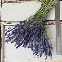 Naturally Dried Lavender bunch - blue purple