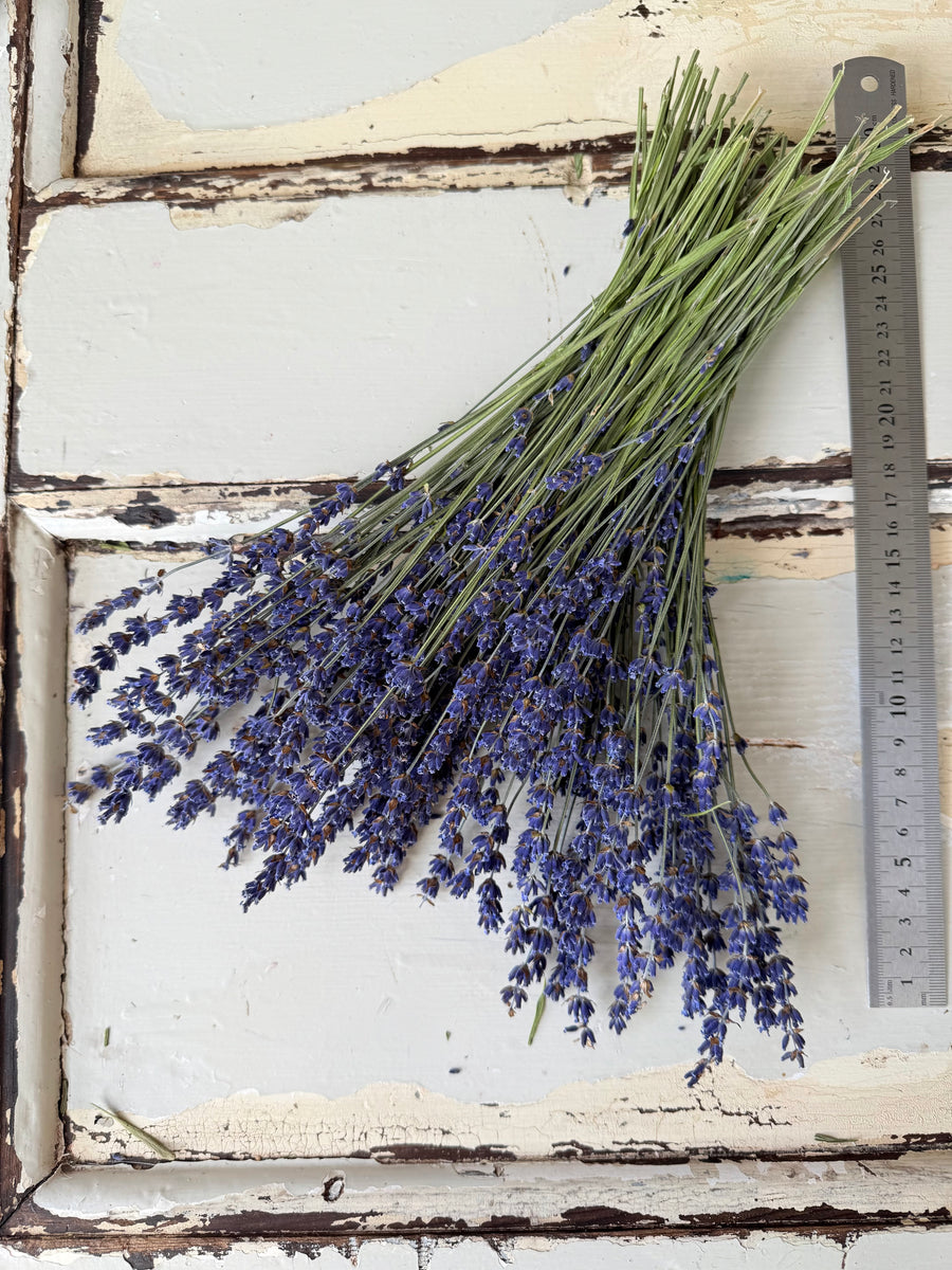 Naturally Dried Lavender bunch - blue purple