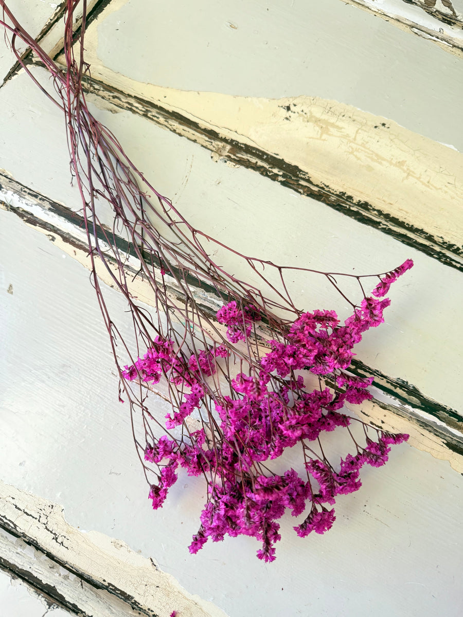 Preserved Crystal Grass / Caspea