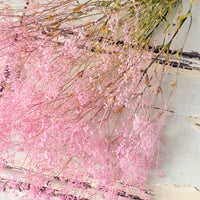 Preserved Delicate Baby's Breath - Gypsophila