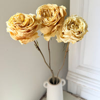 Dried Rose