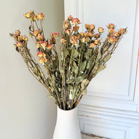 Naturally Dried Spray Rose