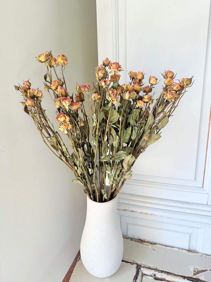Naturally Dried Spray Rose